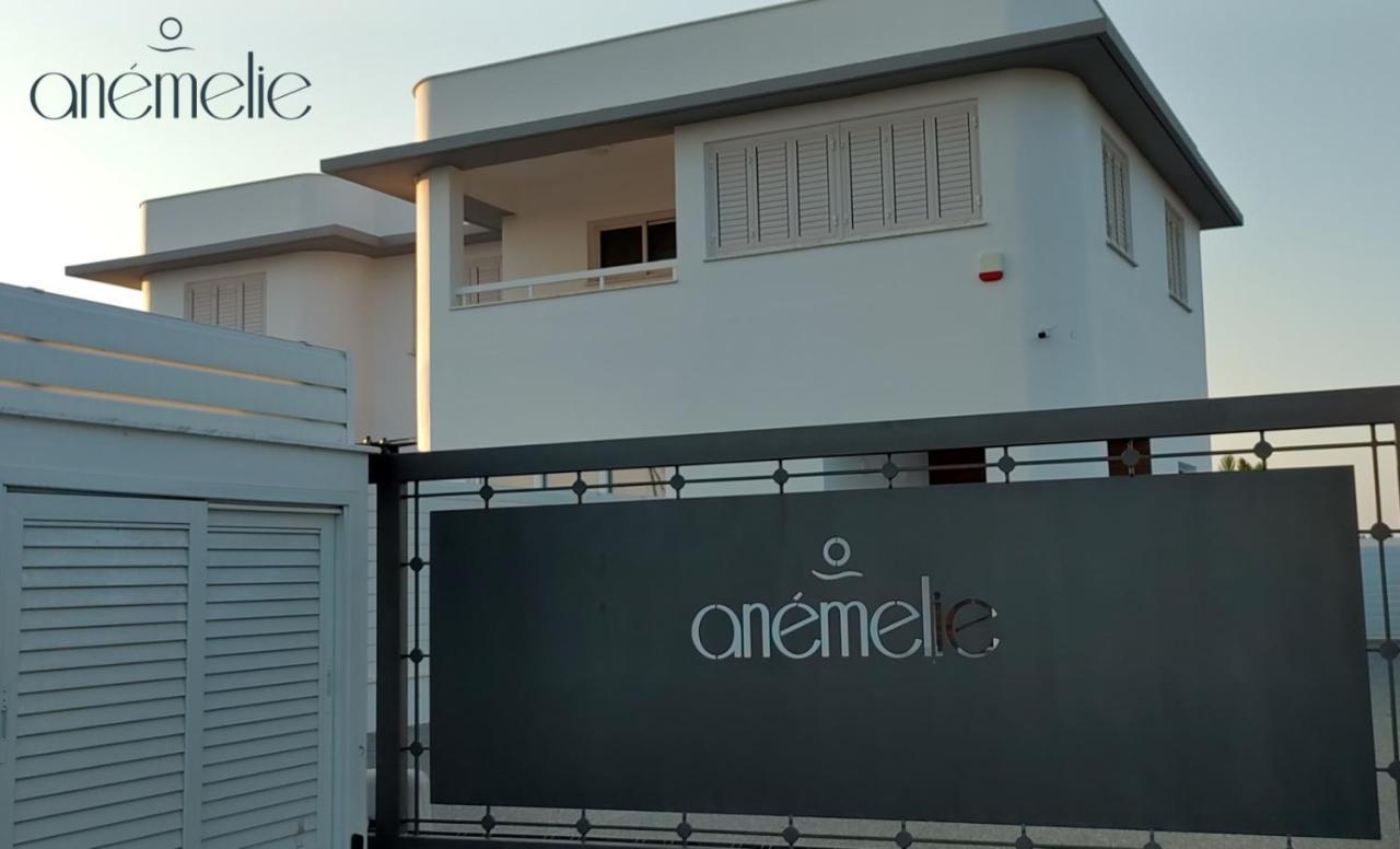 Sotira Anemelie别墅 外观 照片